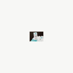 패키지 상세 이미지 9 썸네일