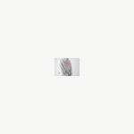 후드집업-프린트스타(쭈리) 상세 이미지 6 썸네일