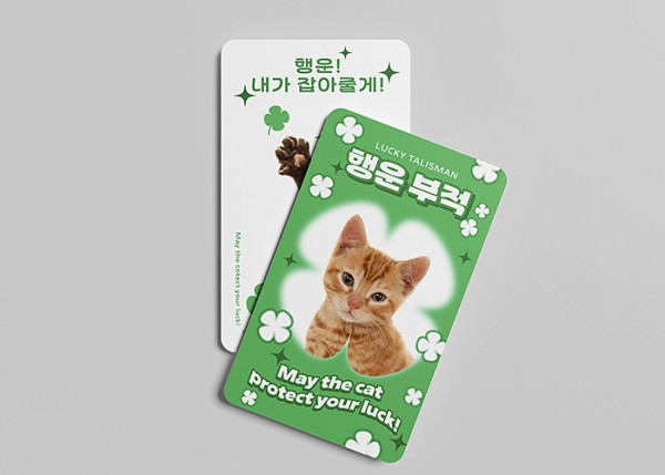 포토카드(대량) 상세 이미지 4